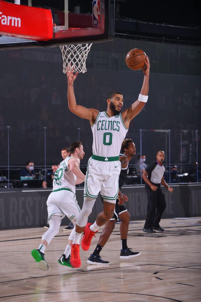 育政策的大 育政策的大