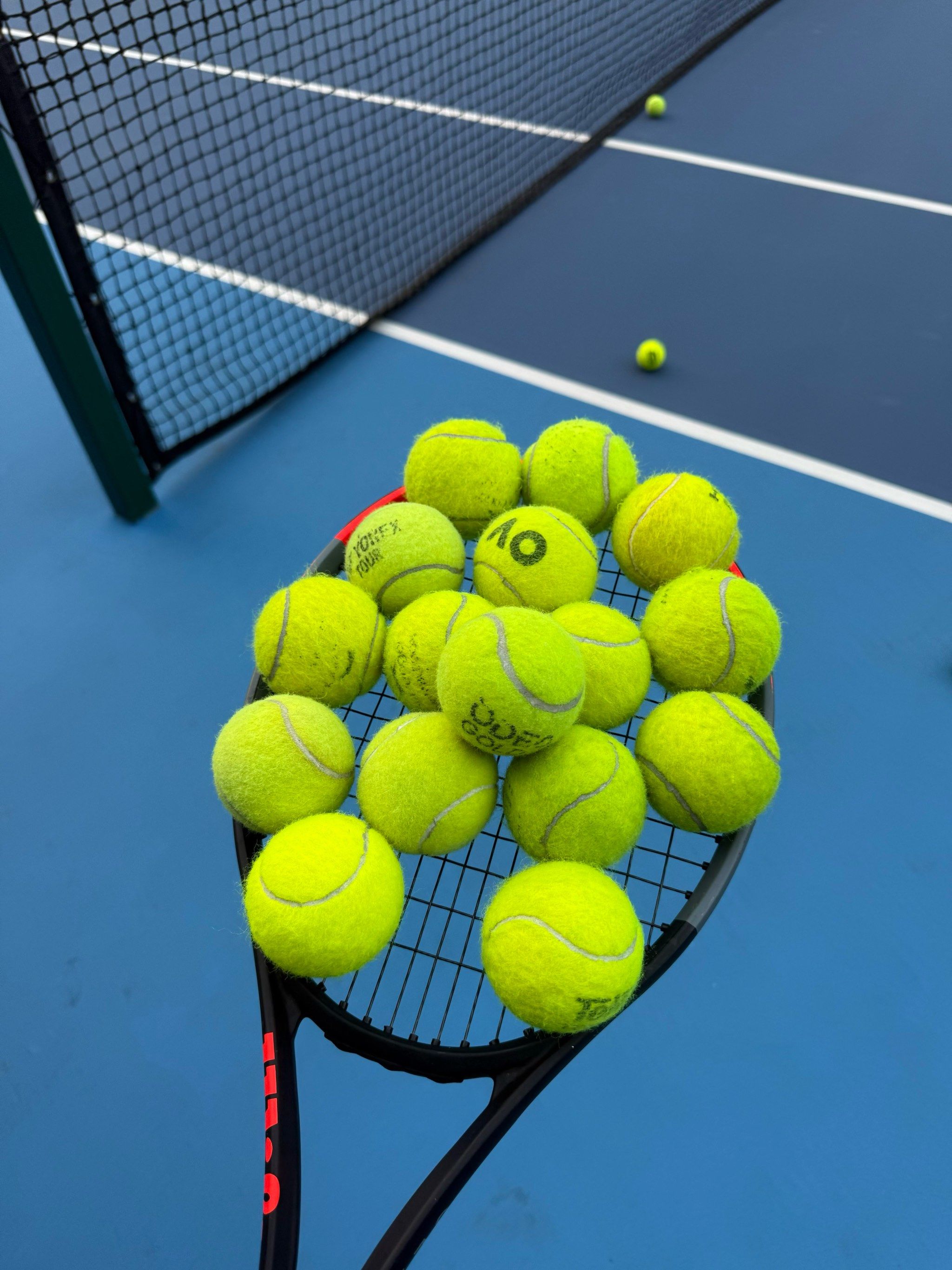 这种特殊的 这种特殊的