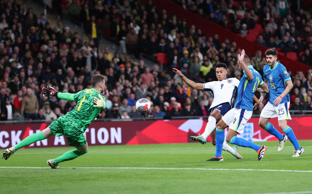 是我国羽毛 是我国羽毛